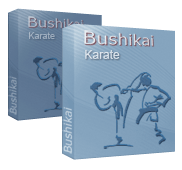bushikai karate